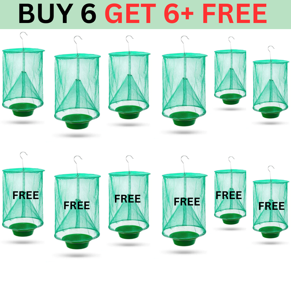 Fast Fly Catcher™ - 100% Non Toxic - Reusable - BUY 6 GET 6+ FREE (12 PCS)