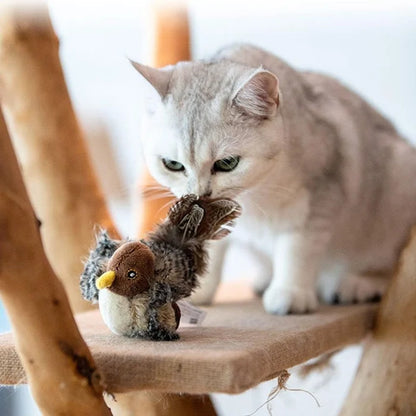 🔥50% OFF TODAY🔥😻🐾Interactive Bird Cat Toy