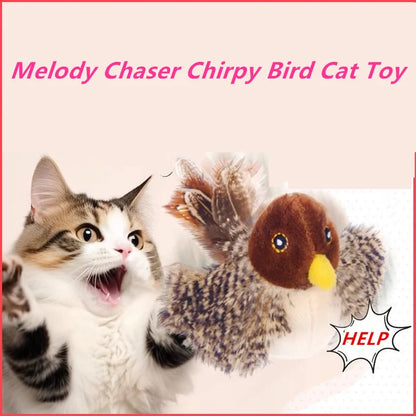 🔥50% OFF TODAY🔥😻🐾Interactive Bird Cat Toy